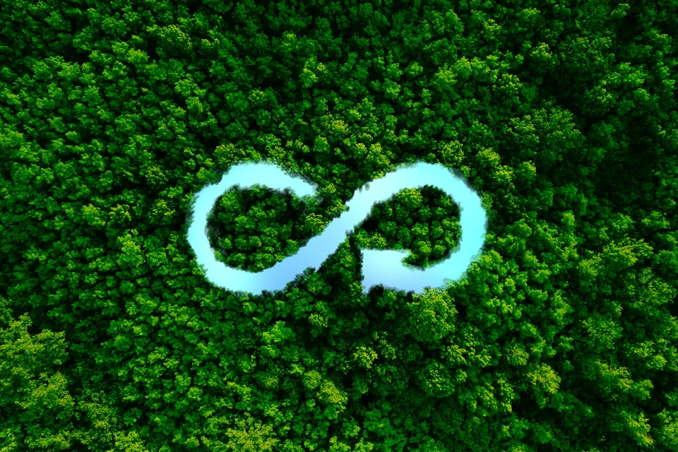 Réparation de smartphone en cours dans un atelier technique